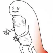 かこ プロフ必読の画像