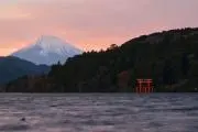 Image of 根岸ゆめ