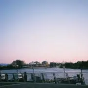 cocoの画像