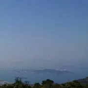 TOMの画像