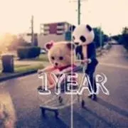 すにゃ⋆˙ プロフ必読‼️の画像
