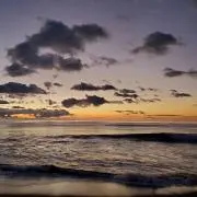 hanaの画像