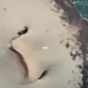 りょう
