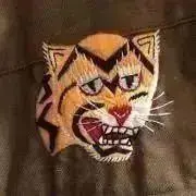 新品3点 switch lite ポケモンza スイッチライト グレー 即時発送