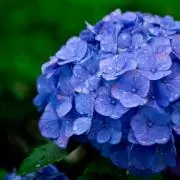 ほみみ☆プロフ確認お願いします☆