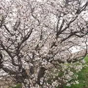 みなりん