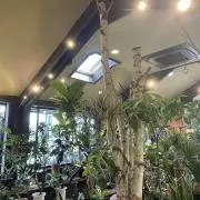R プロフ必読の画像