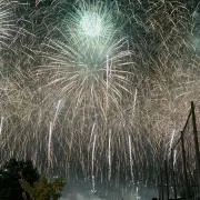 かすがの画像