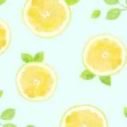 ももの画像