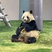 netの画像