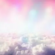 うさぎの画像