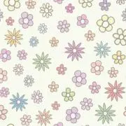 せっちゃんの画像