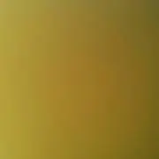 yu--の画像