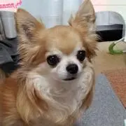 なおっち(♡´∀`♡)