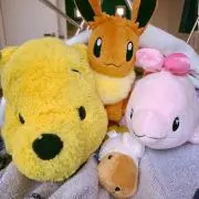 ぷぅちゃん☆の画像
