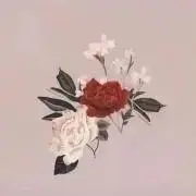 はな(何も無ければ取引メッセージ不要)の画像
