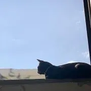 どろ