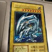 たぬ吉の画像