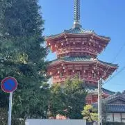 小木