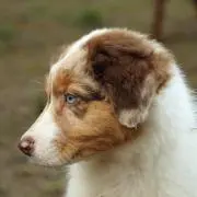 mokoさんの画像