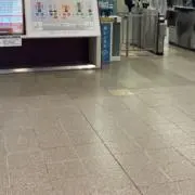 めめの画像