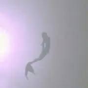 asiraの画像