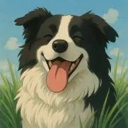 たくまの画像