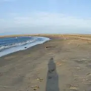 はるの画像