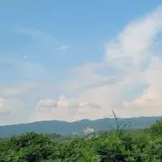 夏の景色