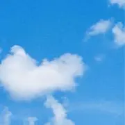 rocioの画像