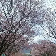 なーき＠