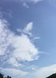 ふぎょぎょ(プロフ既読後購入よろしく！)