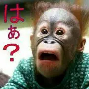 にゃんた