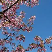 ririの画像