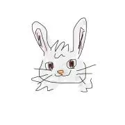 トウリンの画像