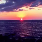 non28の画像