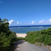 naotaro