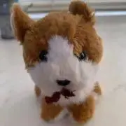 モフモフさんの画像