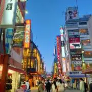 みぃの画像