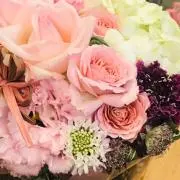 むにゅみんの画像