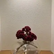 オボロの画像