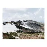 taroの画像