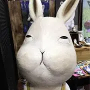 たまの画像