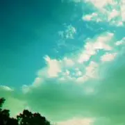 しの＊即購入可(プロフも読んで下さい）の画像