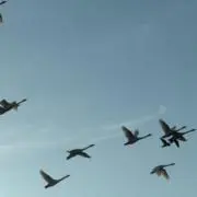 やめてよ神重の画像