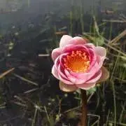 ちぃ⭐︎の画像