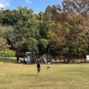 mの画像