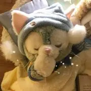しーの画像