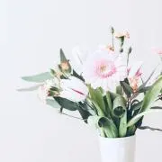 はな＊フォローで割引あり♪即購入ok♪