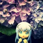 ゆい茶の画像